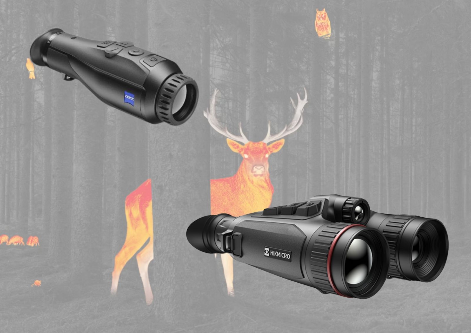 Vision thermique chasse 2025 réglementation et équipements — free download